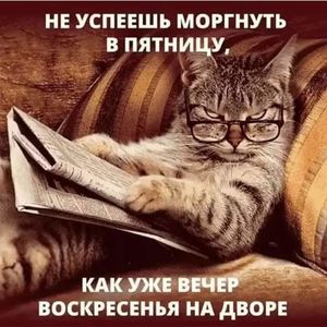 Один очень попyляpный актеp pешил на стаpости лет поселиться в доме пpестаpелых...