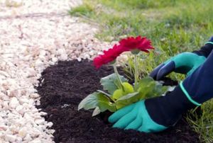 Как защитить руки и ногти во время работы в саду