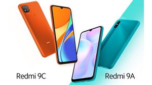 Представлены Redmi 9A и Redmi 9C – самые доступные смартфоны Xiaomi