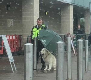 Охранник укрыл чужого пса зонтом. Этим поступком он растрогал соцсети