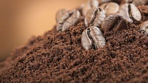 15 полезных способов использования кофейной гущи