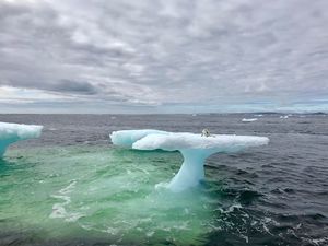 Сначала рыбакам показалось, что они наткнулись на тюленя, плавающего на айсберге, но затем они они подплыли ближе…