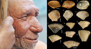 Учёные рассказал, зачем неандертальцы ныряли на большую глубину