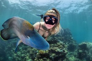 Все называют ее снимки фотошопом, но они реальны: удивительные кадры дайвера и подводного мира