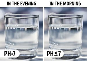 Почему утром нужно пить свежую воду