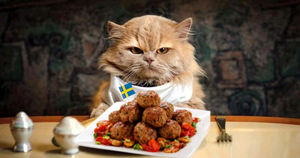 IKEA накормит россиян экодельками — фрикадельками без мяса