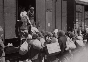На каких условиях Сталин депортировал кавказцев в 1943 году