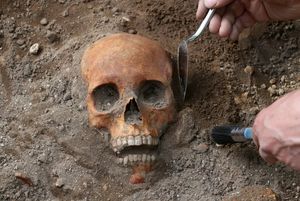 При расширении трамвайной линии в Эдинбурге обнаружили 700-летние человеческие скелеты