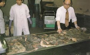 Захватывающая дичь: коллекция татуированной человеческой кожи Фукуси Масаити