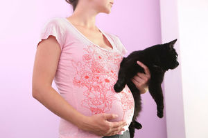 Как гинекологи заставляют беременных женщин усыплять их кошек