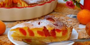 Абрикосовый пирог со сметанной заливкой: рецепты выпечки