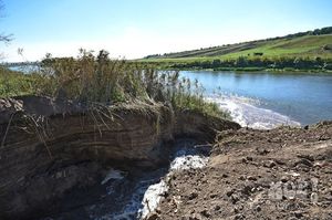 В Воронеже за ночь осушили целое озеро! (11 фото)