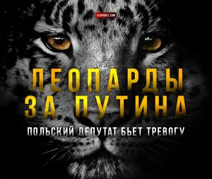 Леопарды за Путина. Польский депутат бьет тревогу