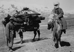 Киргизы или казахи: какой народ более древний