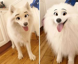 Snapchat добавил новый фильтр Cartoon Face, который делает собак похожими на персонажей Диснея