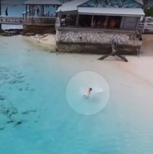 Акулы начали приближаться к ребенку, но их вовремя заметил мужчина игравший с дроном
