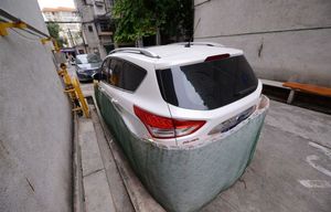 Как китайские водители защищают свои авто от крыс