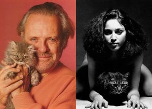 30 ретро-фотографий знаменитостей, позирующих с любимыми кошками