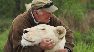 Защитника природы во время игры растерзали две его любимые белые львицы