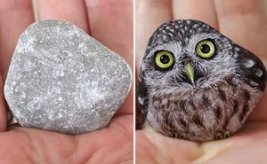 Японская художница превращает камни в милейших животных