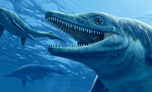 Ученые нашли следы подводного животного размером более 30 метров