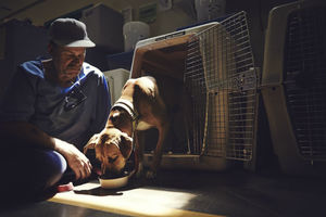 «Пес любит тебя даже в тюрьме»: как помогают друг другу заключенные и бездомные собаки