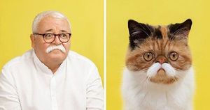 17 портретов кошек и людей, невероятно похожих друг на друга