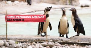 Будни нидерландского зоопарка: пингвины-геи украли яйцо у пингвинов-лесбиянок