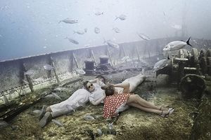 Жизнь на затонувшем корабле: подводный мир фотографа и дайвера Андреаса Франке