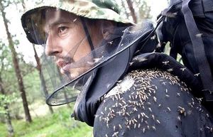 «Таежные» способы защититься от комаров и мошек