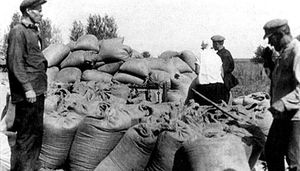 Зачем советские крестьяне массово резали свой скот накануне голода 1930-х