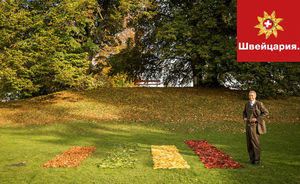 Швейцарец отсортировал опавшую листву по цветам