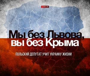 Мы без львова, вы без крыма. польский депутат учит украину жизни