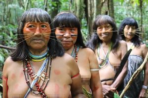 Дух Амазонки: жизнь древнего племени матсес — «людей-ягуаров»