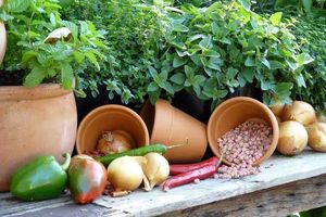Осенние дела: инструменты, удобрения, семена