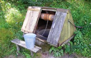 Как проще всего очистить воду в старом колодце, чтобы потом пить ее без опаски