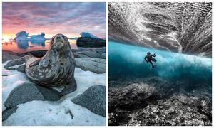 Красота и мощь океана на фотографиях победителей конкурса Ocean Photography Awards 2020