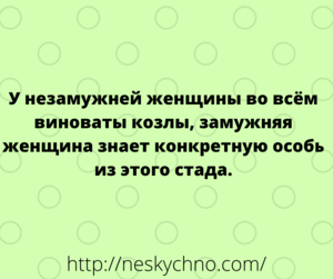 20 с небольшим уморительных анекдотов для хорошего настроения