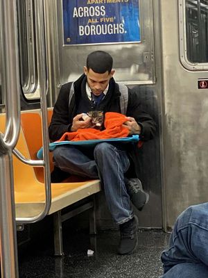 Веру в человечество возвращает фото незнакомца с котенком в метро