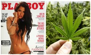 Модель Playboy, которой оставалось жить всего год, излечилась от рака благодаря марихуане