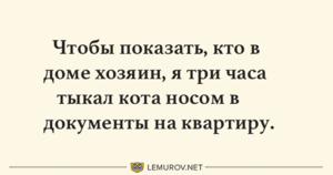 Внесем позитива: подборка анекдотов для отличного настроения