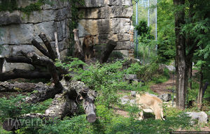 Лионский зоопарк