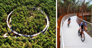 Велодорожка в Бельгии позволяет прокатиться по лесу на высоте 10 метров над землей