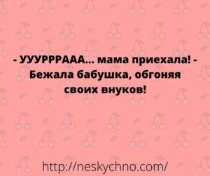 Подборка анекдотов из жизни для прекрасного настроения