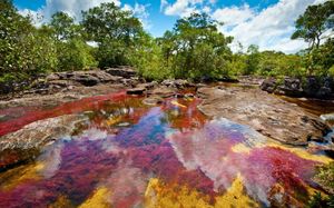 Как появилась разноцветная река, похожая на радугу: Скрытое природное сокровище Каньо-Кристалес