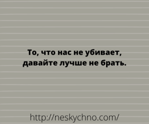 Свежие шутки, анекдоты и забавности для замечательного настроения