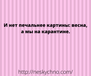 Замечательная подборочка юмора, для прекрасного настроения