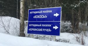 От «Монтекарловки» до «Хохловатиков»: в России полно поселков со странными названиями