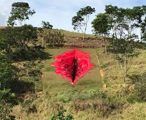 В Бразилии установили 33-метровую вагину, скандальный арт-объект глубиной 6 метров