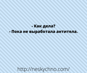 Свежая подборка анекдотов для веселого времяпрепровождения